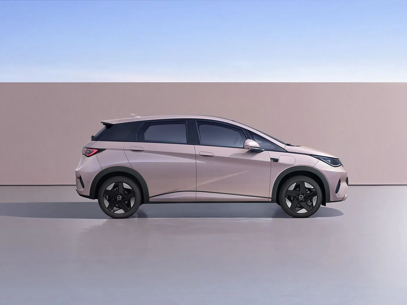 BYD Dolphin Urban Mini Hatchback fashion tare da Smart Fasaha Sabon makamashi