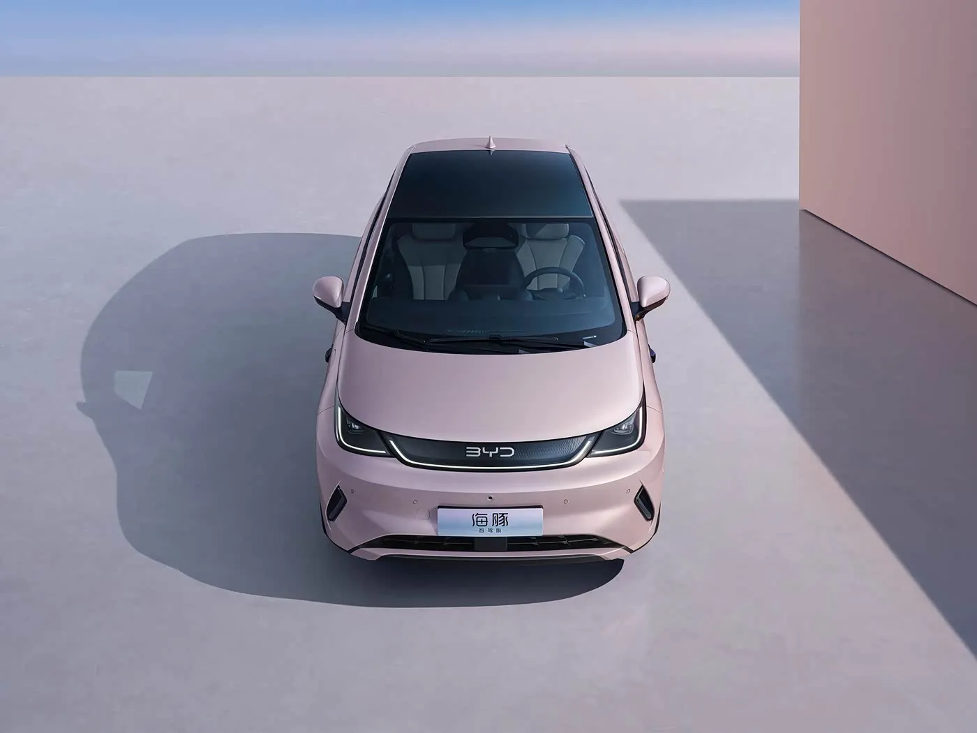 BYD Dolphin Urban Mini Hatchback fashion tare da Smart Fasaha Sabon makamashi